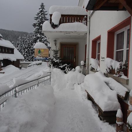 Haus Sommerberg Feldberg  Bagian luar foto