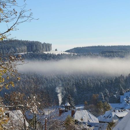 Haus Sommerberg Feldberg  Bagian luar foto