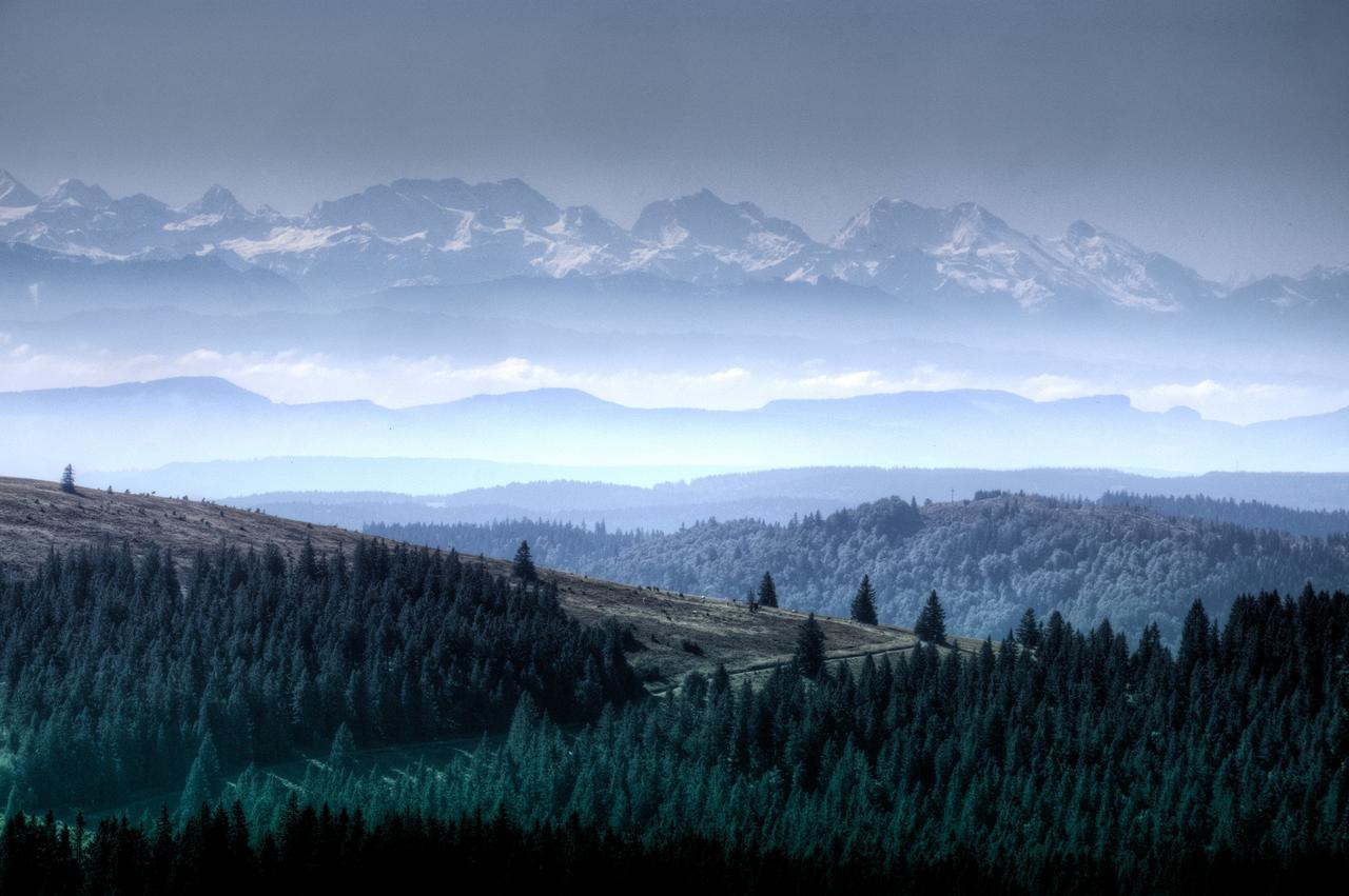 Haus Sommerberg Feldberg  Bagian luar foto
